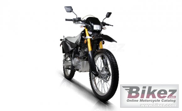 2011 Qlink XP 200 photo